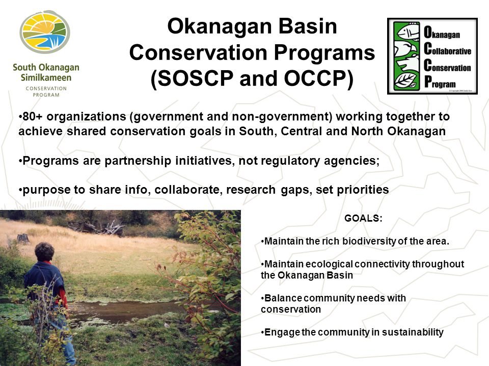 Okanagan Basin Conservation Programs (SOSCP and OCCP) 80+ organizations (government and non-government) working together to achieve shared conservation goals in South, Central and North Okanagan Programs are partnership initiatives, not regulatory agencies; purpose to share info, collaborate, research gaps, set priorities GOALS: Maintain the rich biodiversity of the area.