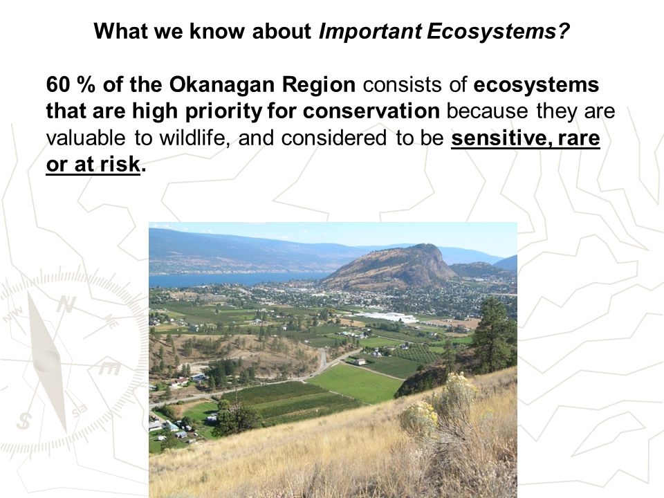 What we know about Important Ecosystems.