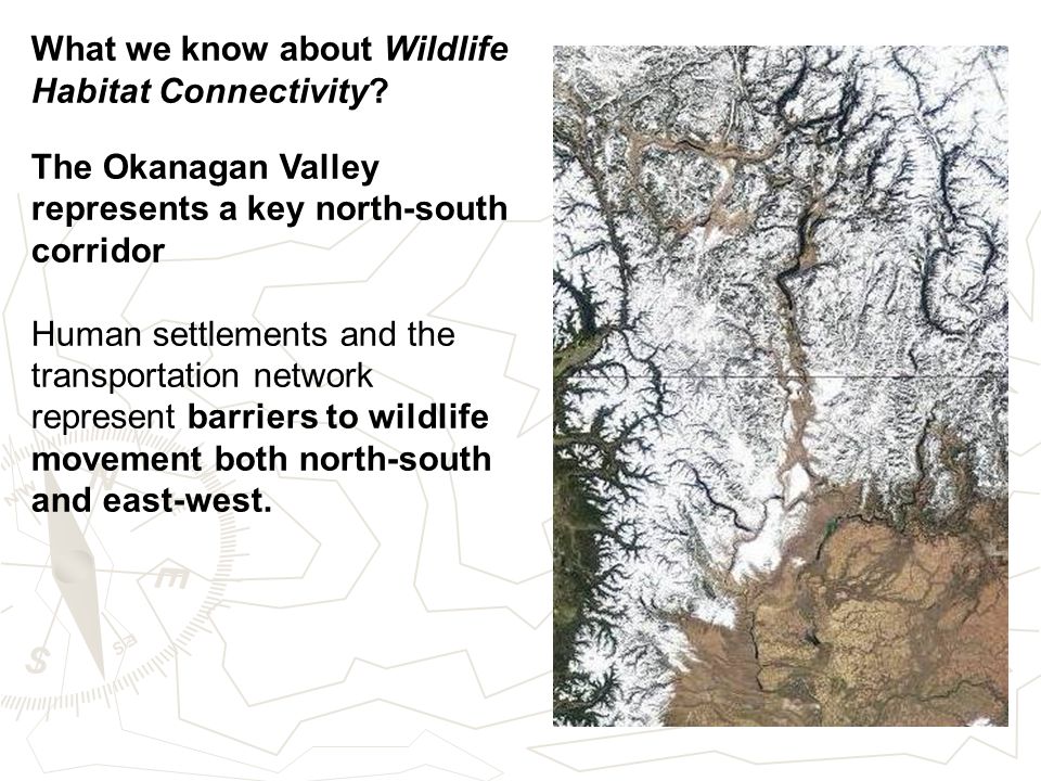 What we know about Wildlife Habitat Connectivity.