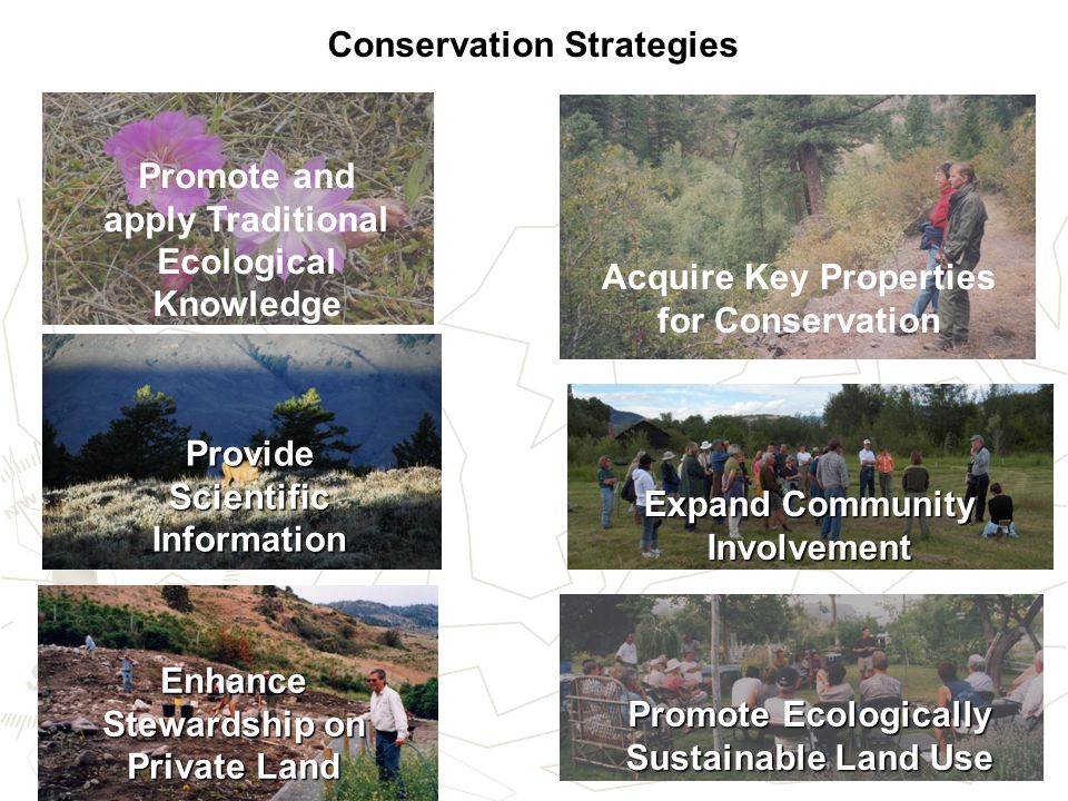 Conservation Strategies Promote and apply Traditional Ecological Knowledge Acquire Key Properties for Conservation Provide Scientific Information Expand Community Involvement Promote Ecologically Sustainable Land Use Enhance Stewardship on Private Land