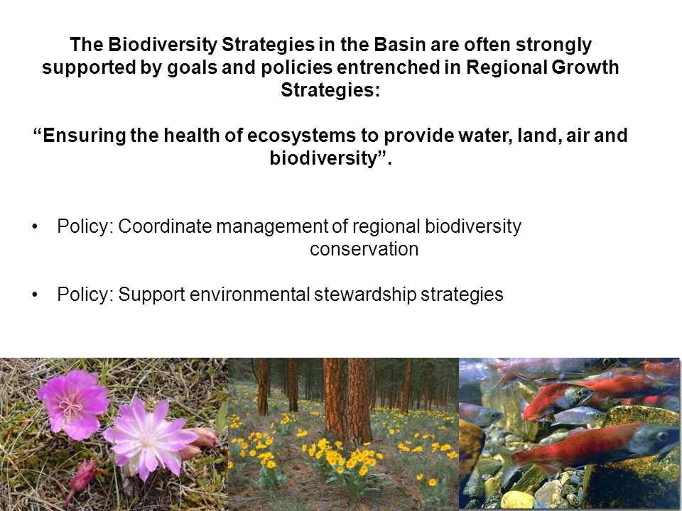 The Biodiversity Strategies in the Basin are often strongly supported by goals and policies entrenched in Regional Growth Strategies: Ensuring the health of ecosystems to provide water, land, air and biodiversity .