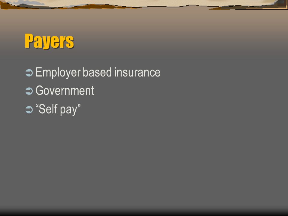 Payers  Employer based insurance  Government  Self pay