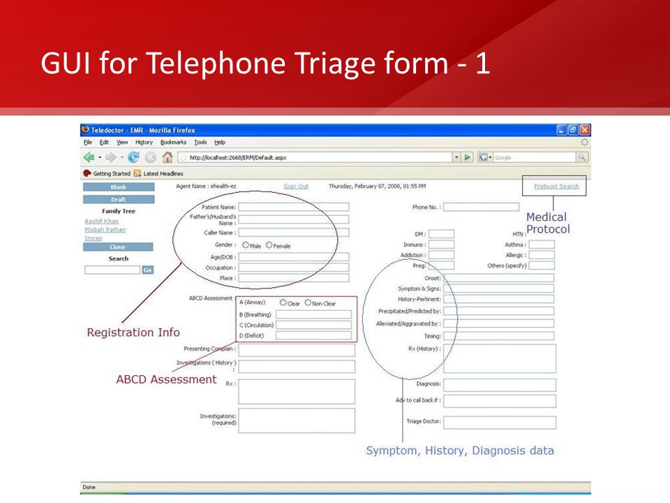 GUI for Telephone Triage form - 1