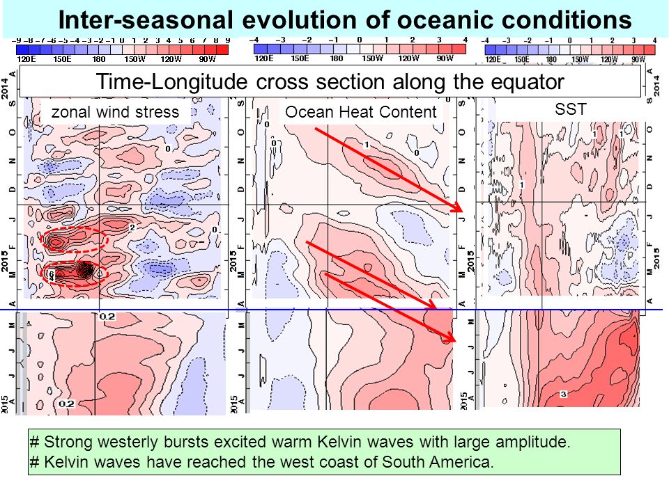zonal wind stressOcean Heat Content SST Time-Longitude cross section along the equator Inter-seasonal evolution of oceanic conditions # Strong westerly bursts excited warm Kelvin waves with large amplitude.