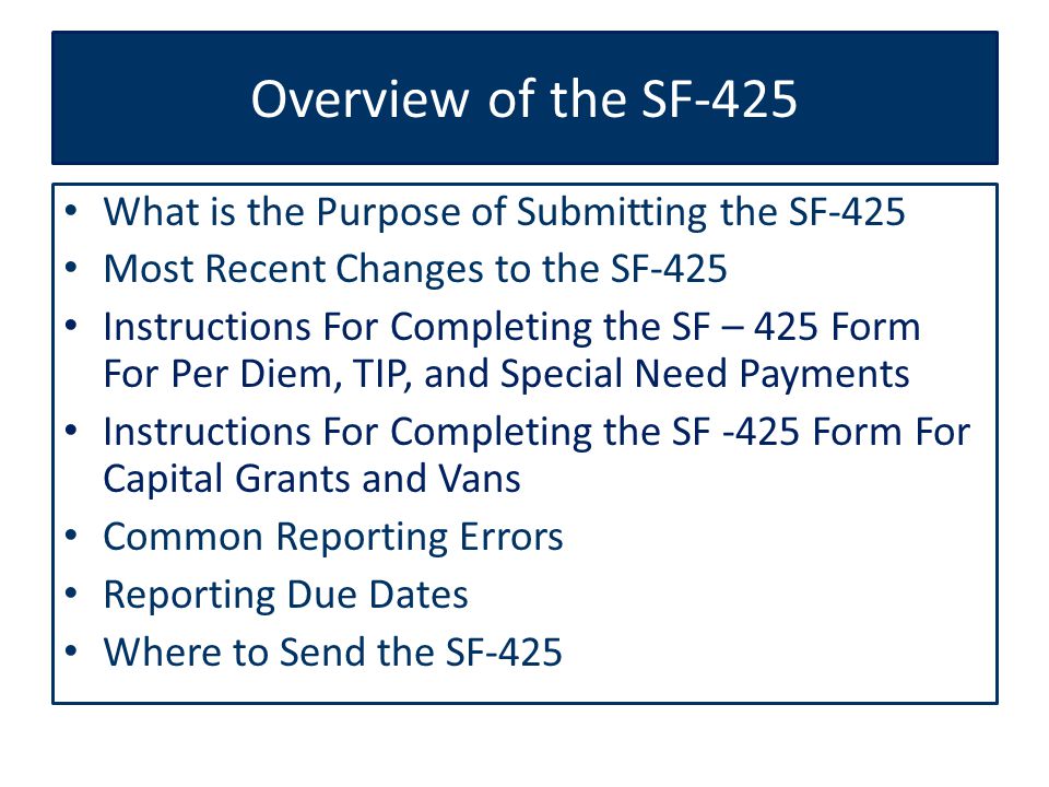 Federal Financial Reporting (Standard Form SF-425) How to Complete the SF- 425 for the Per Diem, Special Needs, TIP, and Capital Grant Awards VA  Homeless. - ppt download