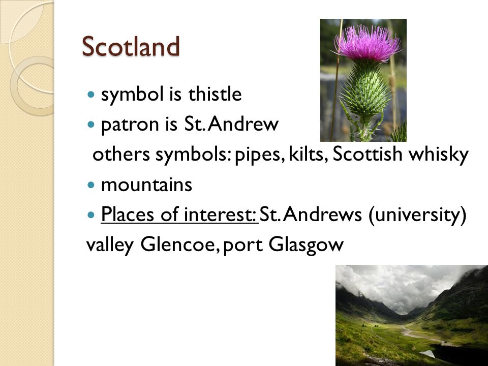 Scotland symbol is thistle patron is St.