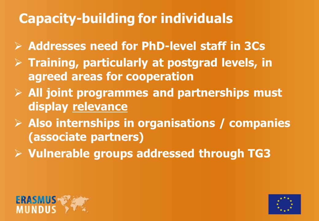 Capacity-building for individuals  Addresses need for PhD-level staff in 3Cs  Training, particularly at postgrad levels, in agreed areas for cooperation  All joint programmes and partnerships must display relevance  Also internships in organisations / companies (associate partners)  Vulnerable groups addressed through TG3