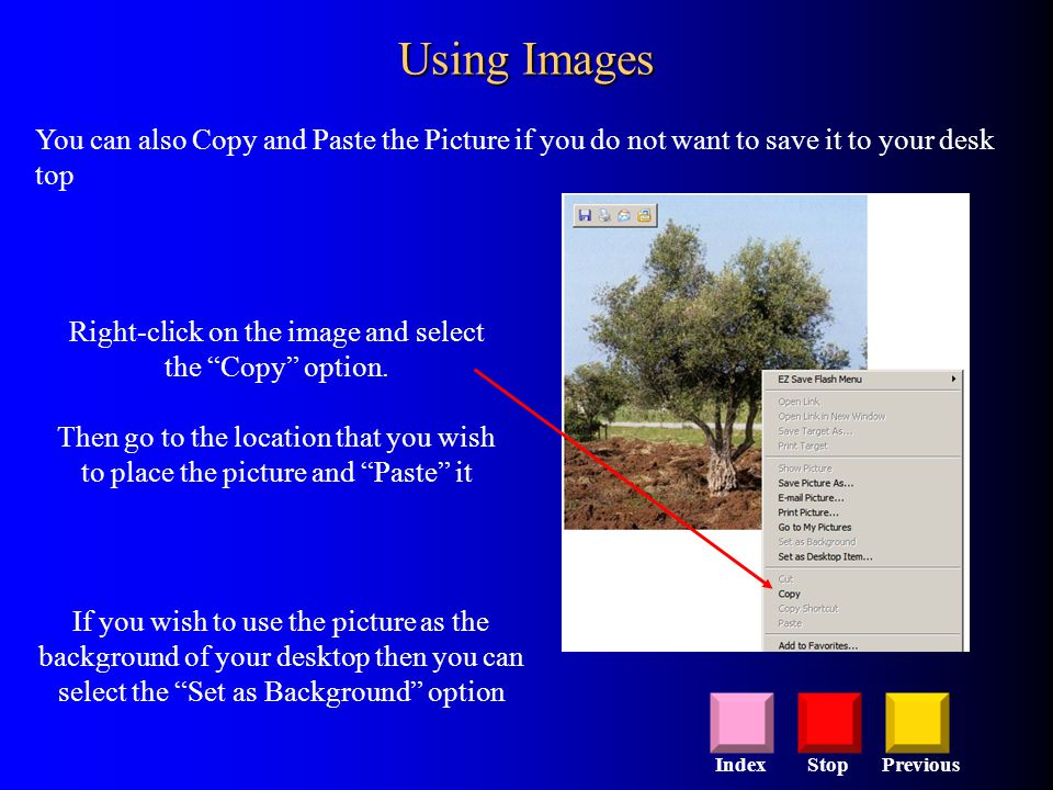 Using Images You can also Copy and Paste the Picture if you do not want to save it to your desk top Right-click on the image and select the Copy option.