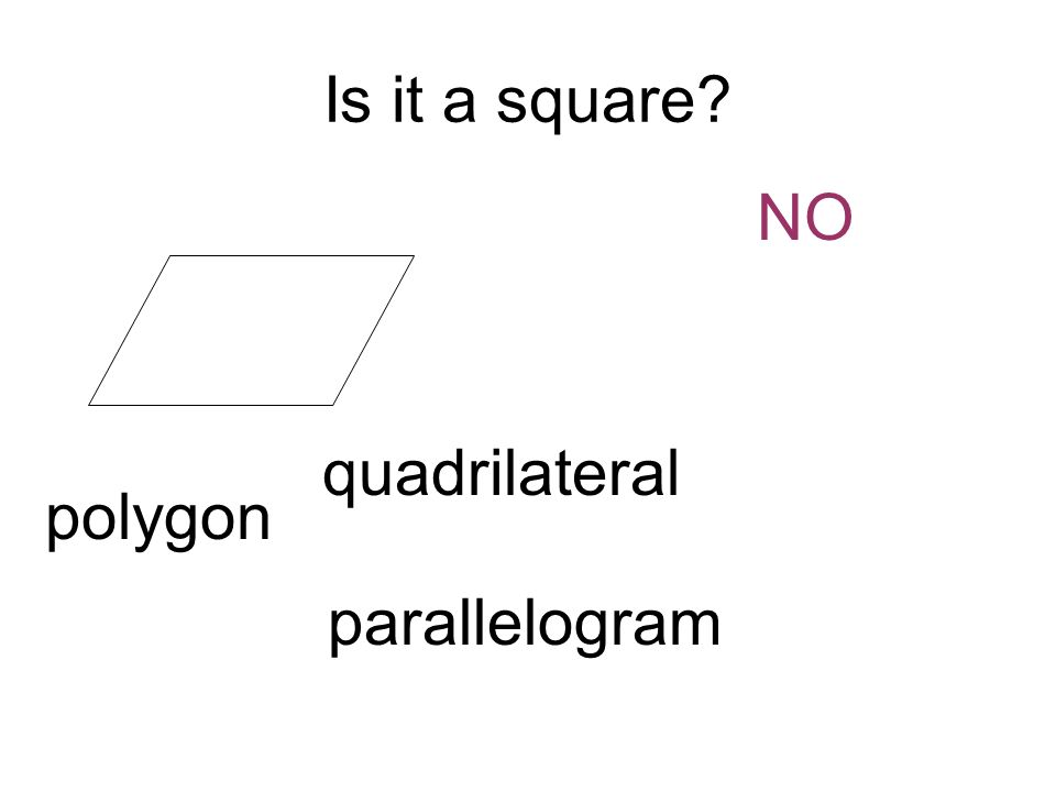 Is it a square NO polygon quadrilateral parallelogram