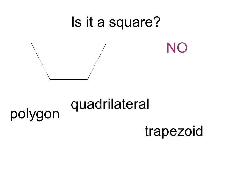 Is it a square NO polygon quadrilateral trapezoid