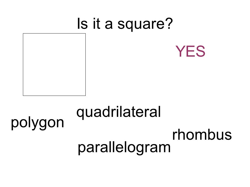 Is it a square YES polygon quadrilateral parallelogram rhombus