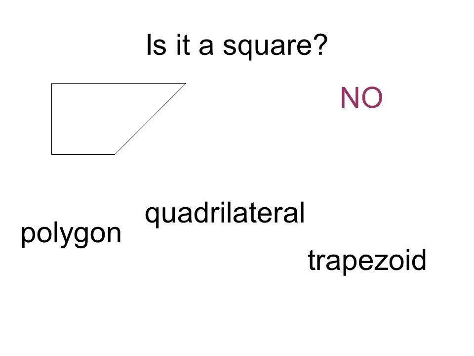 Is it a square NO polygon quadrilateral trapezoid