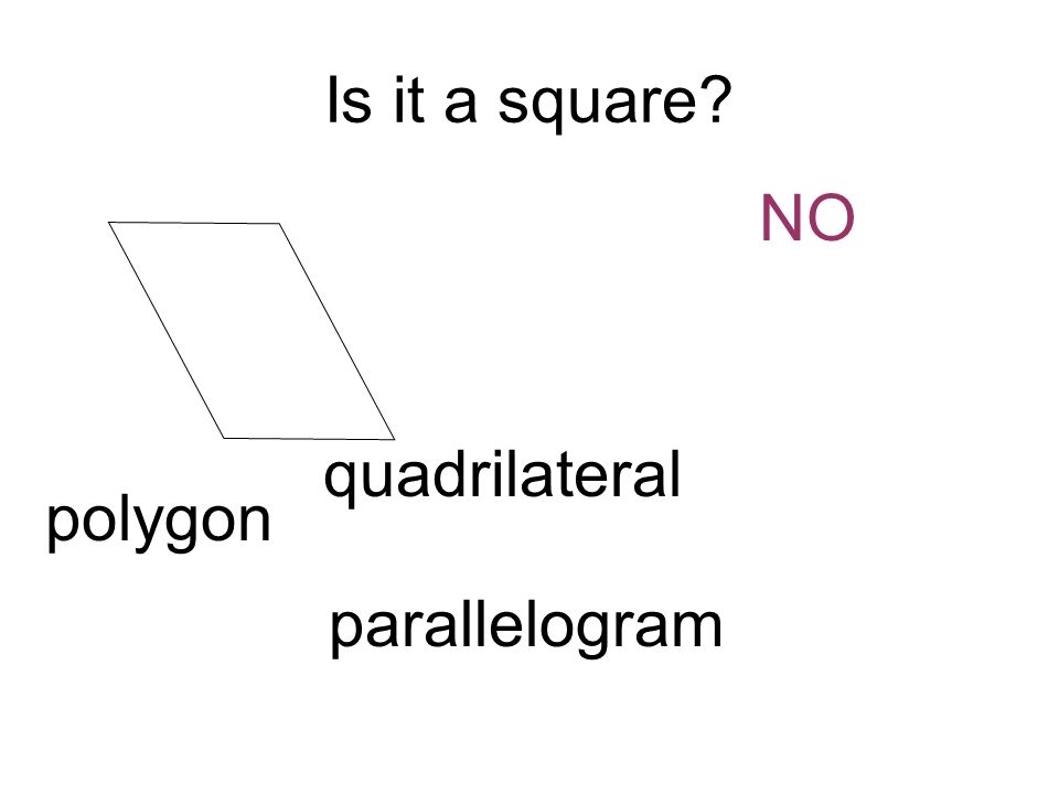 Is it a square NO polygon quadrilateral parallelogram