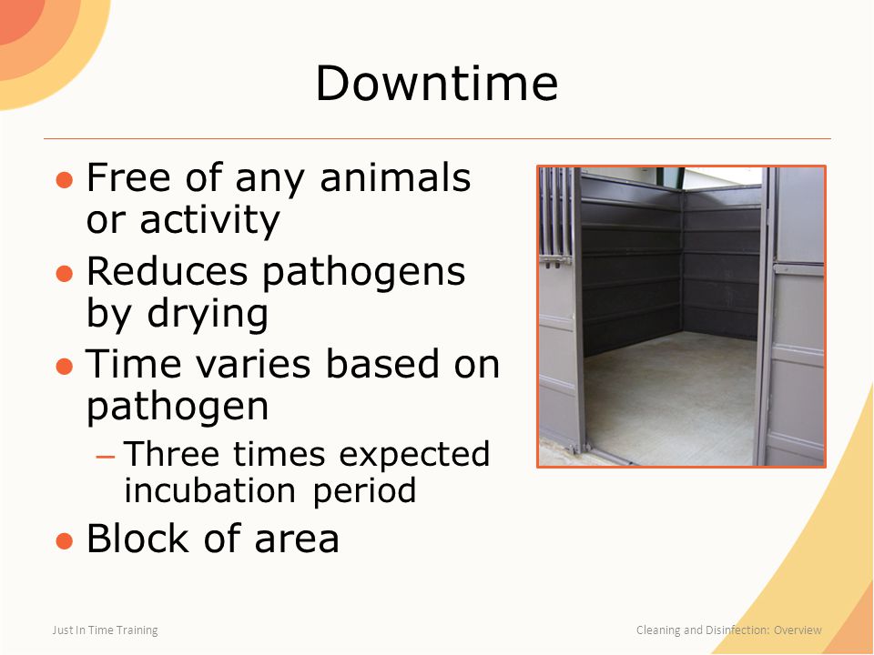Downtime ●Free of any animals or activity ●Reduces pathogens by drying ●Time varies based on pathogen – Three times expected incubation period ●Block of area Just In Time Training Cleaning and Disinfection: Overview