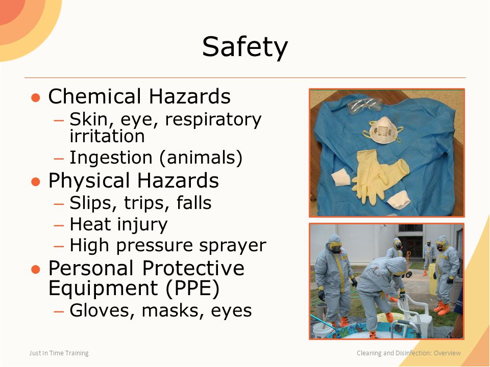 Safety ●Chemical Hazards – Skin, eye, respiratory irritation – Ingestion (animals) ●Physical Hazards – Slips, trips, falls – Heat injury – High pressure sprayer ●Personal Protective Equipment (PPE) – Gloves, masks, eyes Just In Time Training Cleaning and Disinfection: Overview