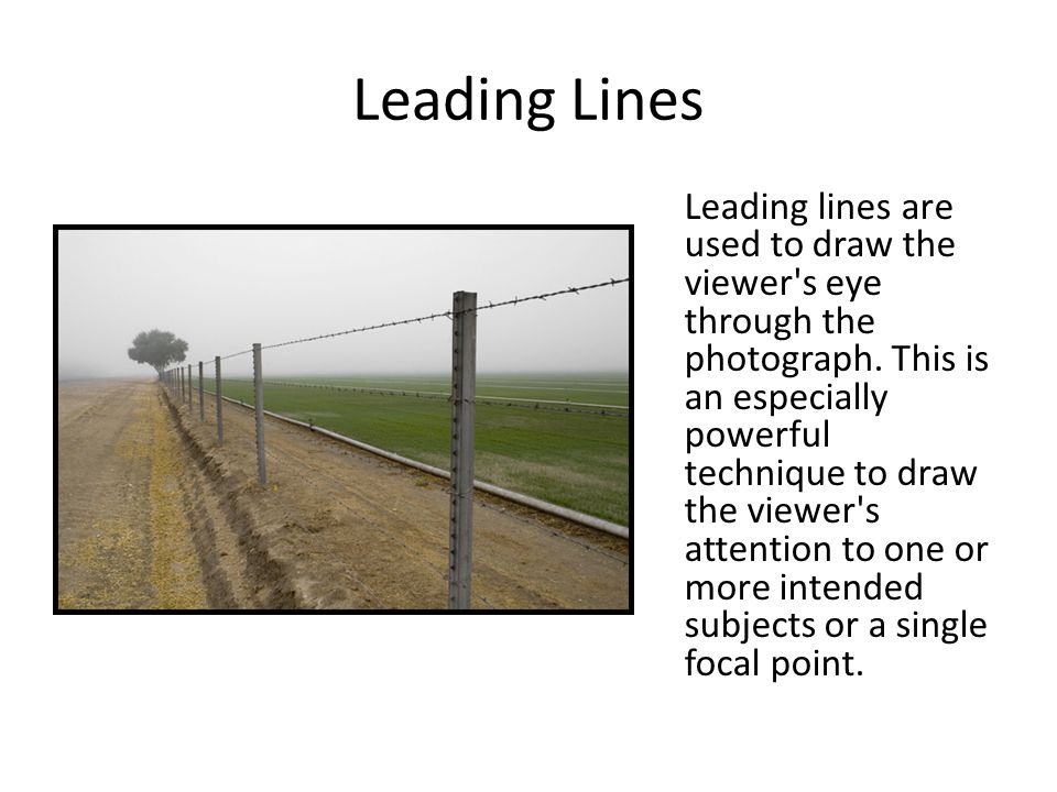 Leading Lines Leading lines are used to draw the viewer s eye through the photograph.