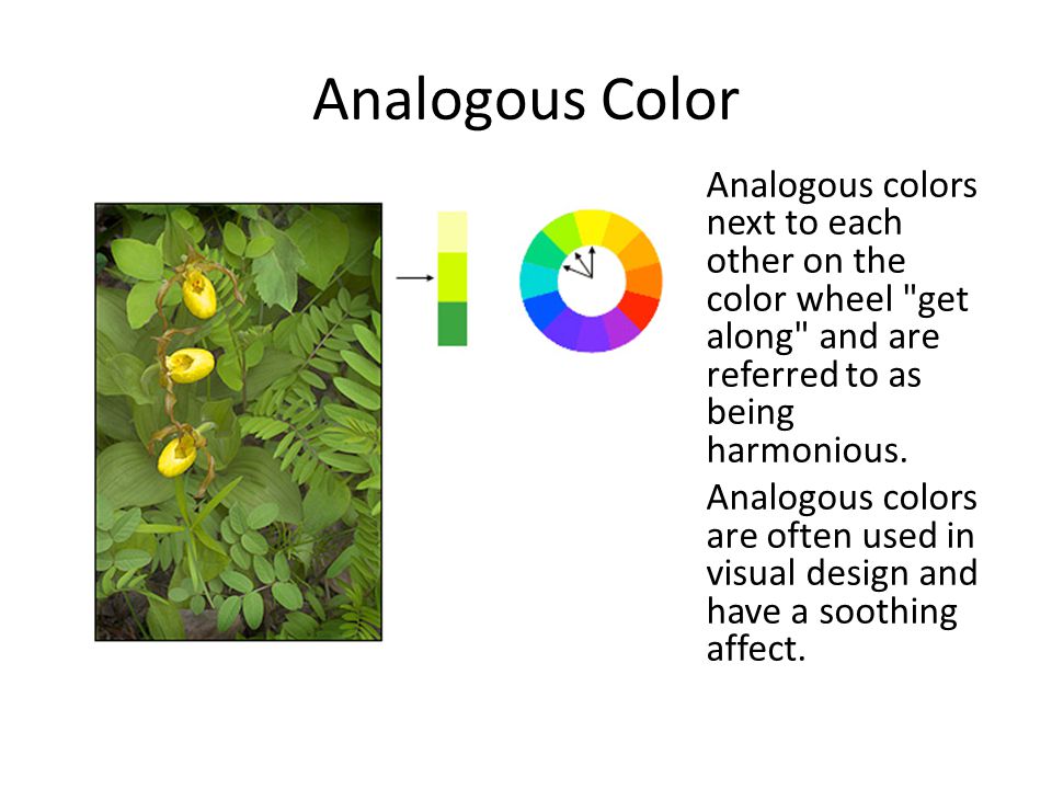 Analogous Color Analogous colors next to each other on the color wheel get along and are referred to as being harmonious.