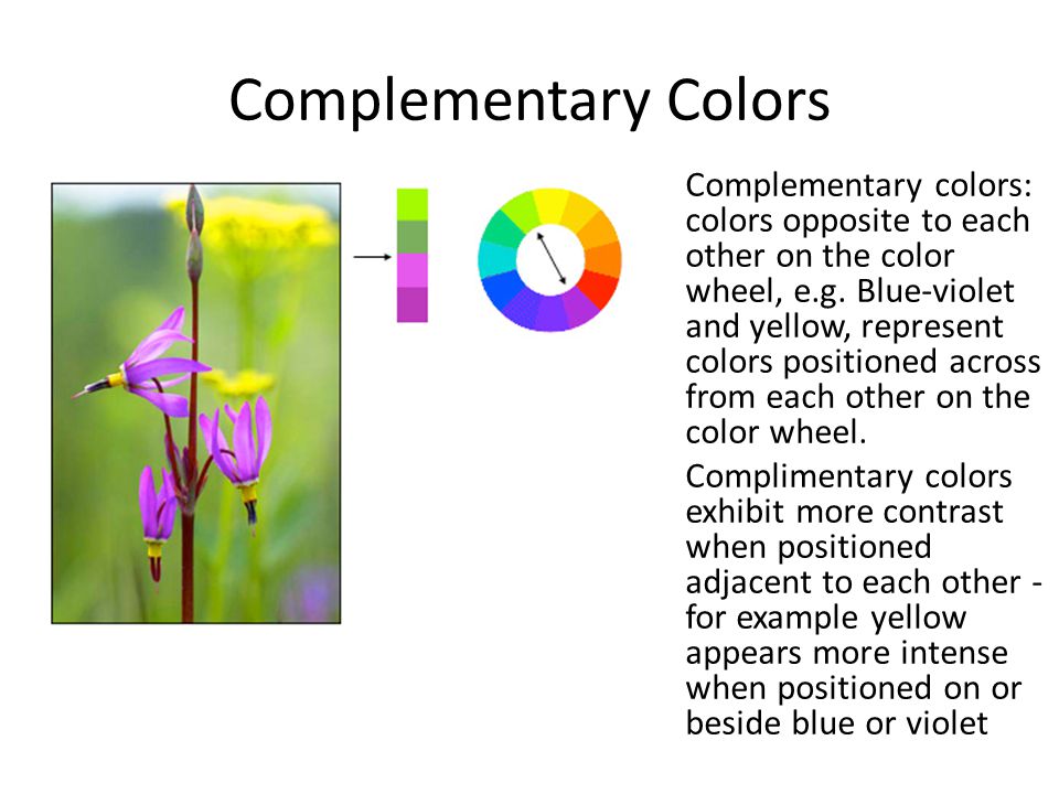 Complementary Colors Complementary colors: colors opposite to each other on the color wheel, e.g.