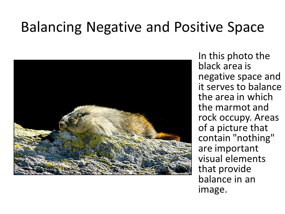 Balancing Negative and Positive Space In this photo the black area is negative space and it serves to balance the area in which the marmot and rock occupy.