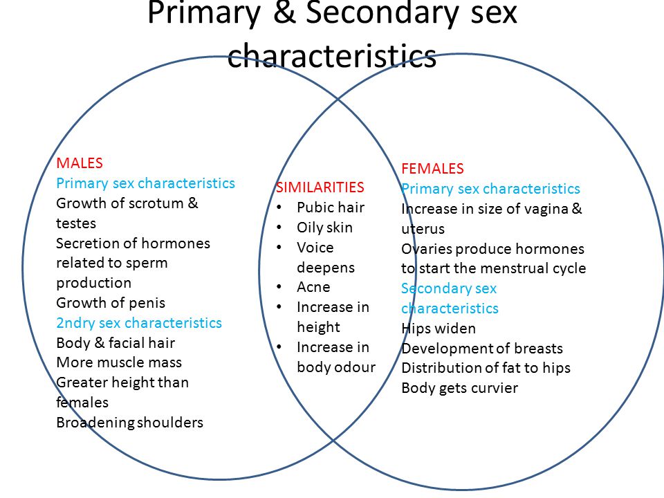 Primary & Secondary sex characteristics SIMILARITIES Pubic hair Oily skin Voice deepens Acne Increase in height Increase in body odour FEMALES Primary sex characteristics Increase in size of vagina & uterus Ovaries produce hormones to start the menstrual cycle Secondary sex characteristics Hips widen Development of breasts Distribution of fat to hips Body gets curvier MALES Primary sex characteristics Growth of scrotum & testes Secretion of hormones related to sperm production Growth of penis 2ndry sex characteristics Body & facial hair More muscle mass Greater height than females Broadening shoulders