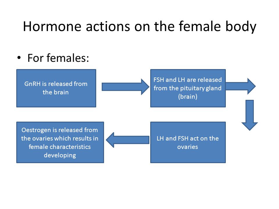 Hormone actions on the female body For females: For males: GnRH is released from the brain FSH and LH are released from the pituitary gland (brain) LH and FSH act on the ovaries Oestrogen is released from the ovaries which results in female characteristics developing