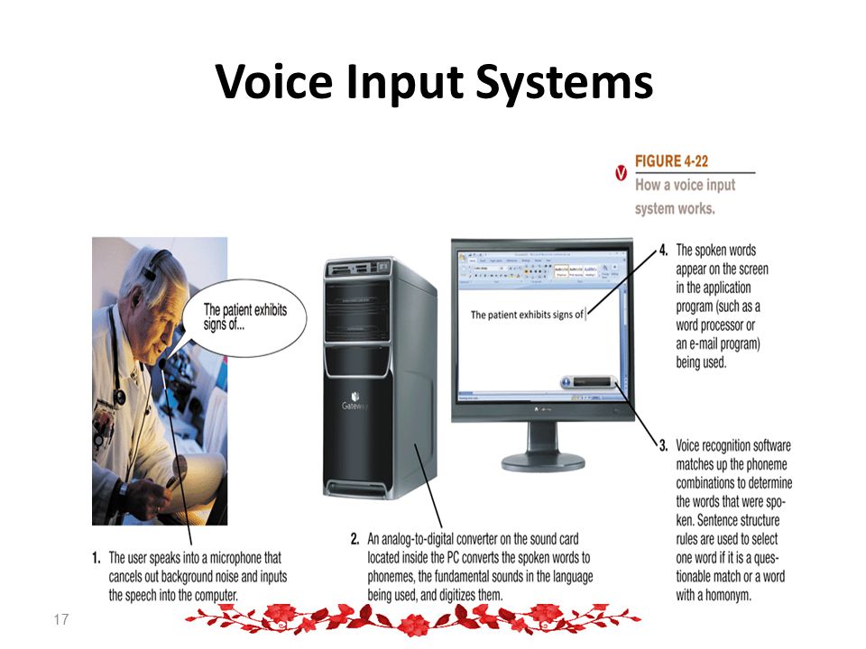 Voice Input Systems 17