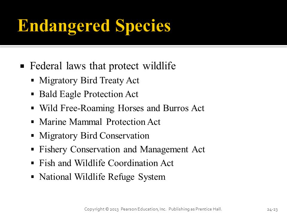  Federal laws that protect wildlife  Migratory Bird Treaty Act  Bald Eagle Protection Act  Wild Free-Roaming Horses and Burros Act  Marine Mammal Protection Act  Migratory Bird Conservation  Fishery Conservation and Management Act  Fish and Wildlife Coordination Act  National Wildlife Refuge System Copyright © 2013 Pearson Education, Inc.