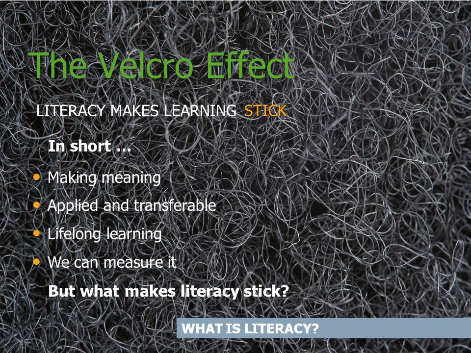 The Velcro Effect The Velcro Effect What literacy means Insert presenter  title Insert presenter name Venue and date. - ppt download