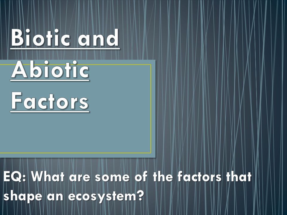 EQ: What are some of the factors that shape an ecosystem