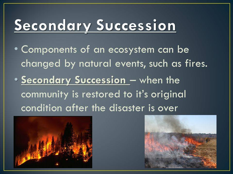 Components of an ecosystem can be changed by natural events, such as fires.
