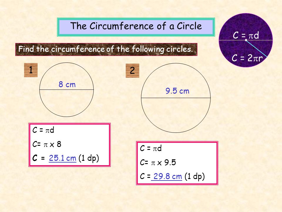The Circumference of a Circle diameter(d) Circumference (C) How many times  does the diameter fit around the circumference? Choose your number.  11½22½33½4. - ppt download