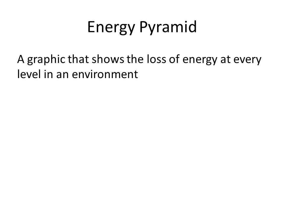Energy Pyramid A graphic that shows the loss of energy at every level in an environment