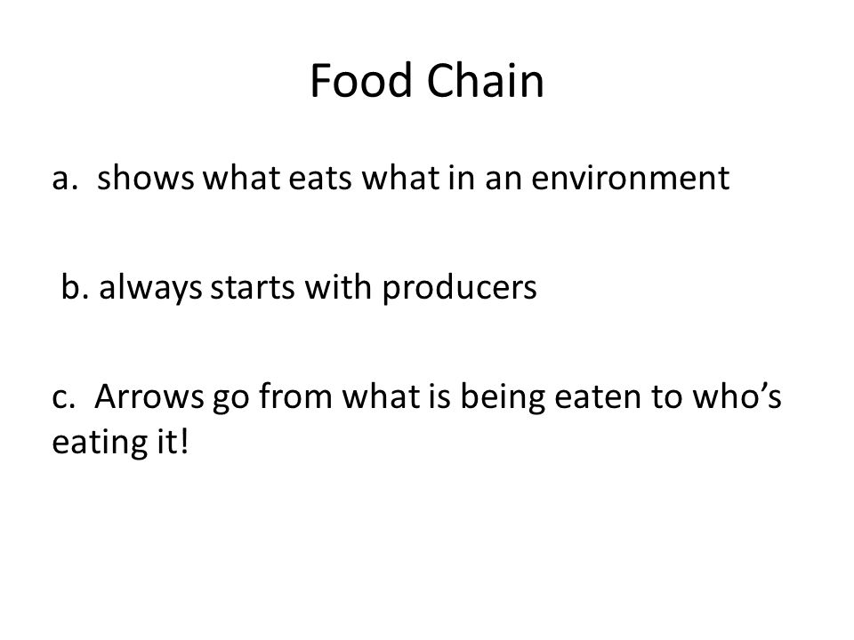Food Chain a. shows what eats what in an environment b.