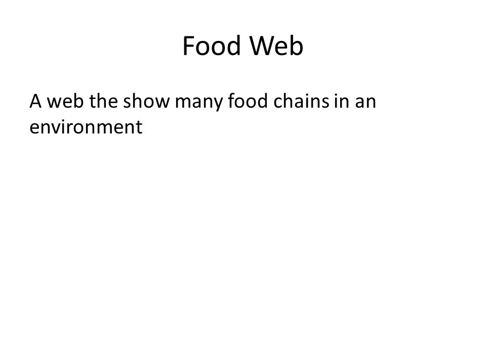 Food Web A web the show many food chains in an environment