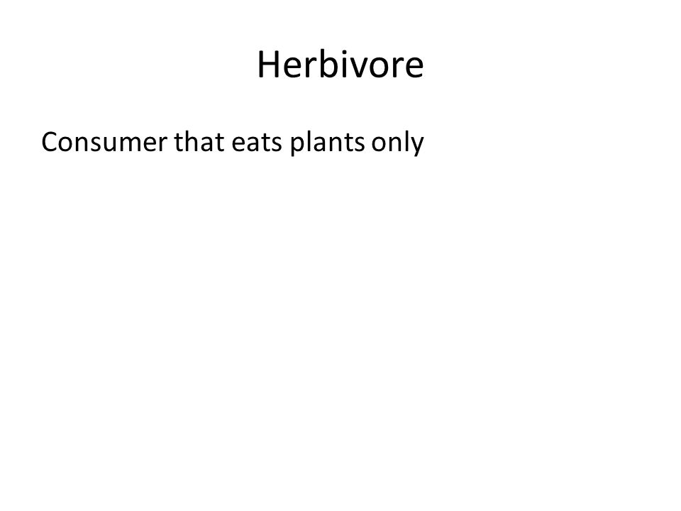 Herbivore Consumer that eats plants only