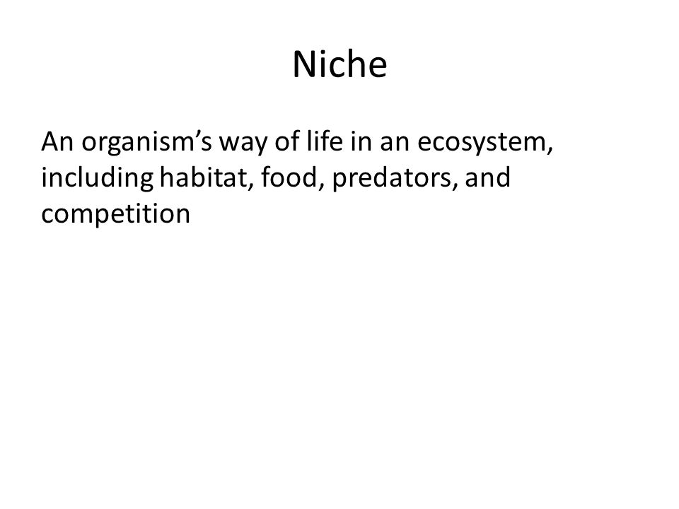 Niche An organism’s way of life in an ecosystem, including habitat, food, predators, and competition