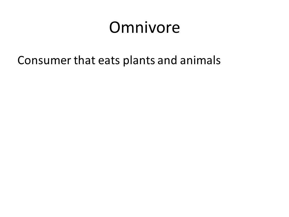 Omnivore Consumer that eats plants and animals