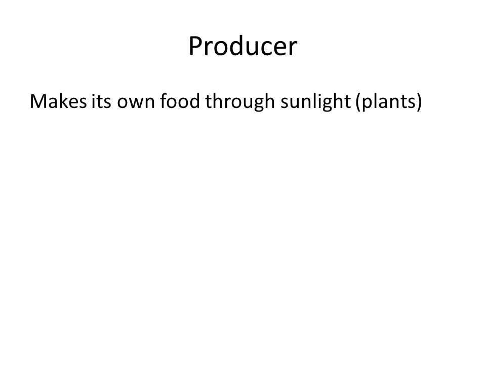 Producer Makes its own food through sunlight (plants)