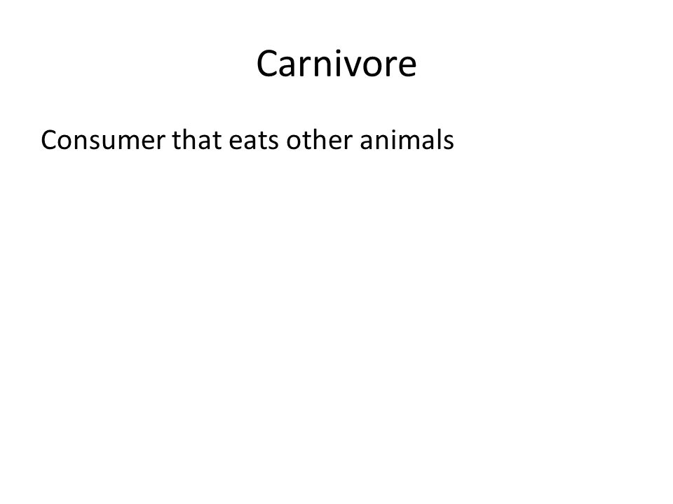 Carnivore Consumer that eats other animals