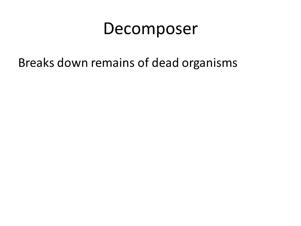 Decomposer Breaks down remains of dead organisms