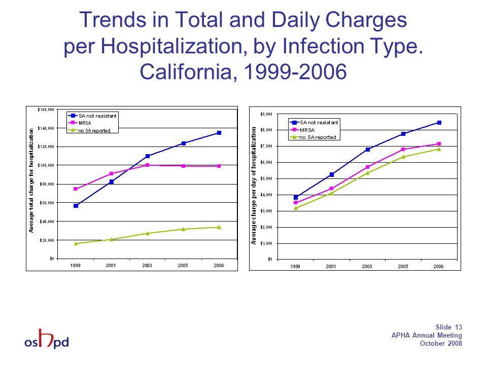 Slide 13 APHA Annual Meeting October 2008 Trends in Total and Daily Charges per Hospitalization, by Infection Type.