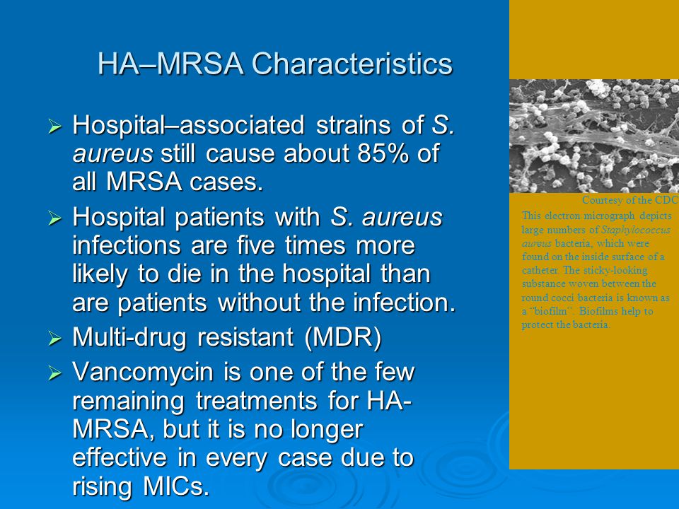 Mrsa Definition Methicillin Resistant Staphylococcus Aureus Mrsa Is A Bacterium Responsible For Difficult To Treat Infections In Humans Mrsa Is By Definition Ppt Download