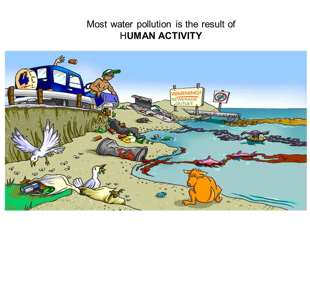 Most water pollution is the result of HUMAN ACTIVITY