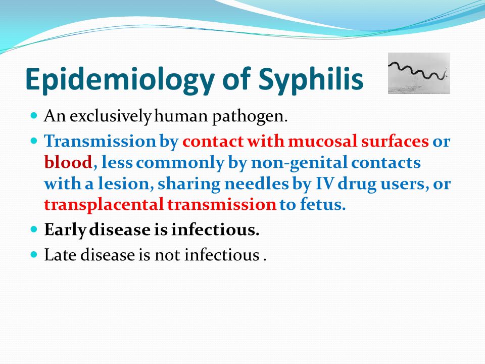 Epidemiology of Syphilis An exclusively human pathogen.