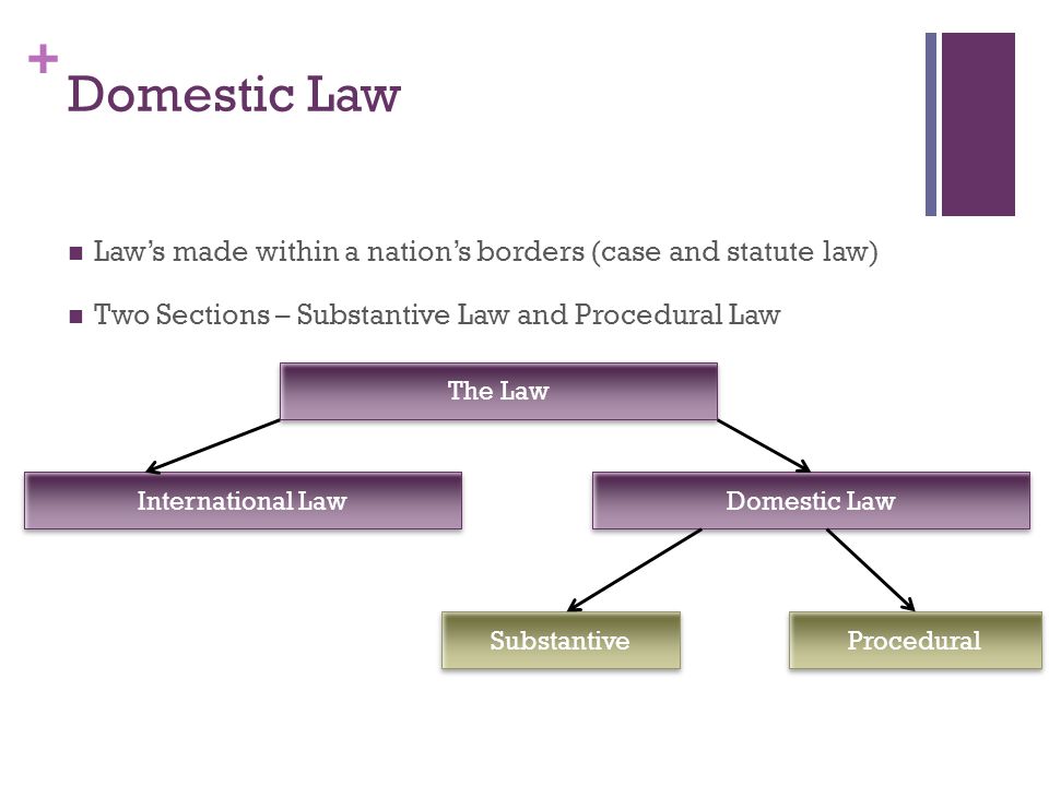 + Domestic Law Law’s made within a nation’s borders (case and statute law) Two Sections – Substantive Law and Procedural Law The Law International Law Domestic Law Procedural Substantive