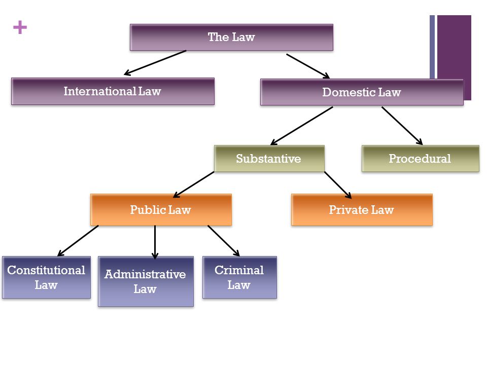 + The Law International Law Domestic Law Procedural Substantive Public Law Private Law Constitutional Law Constitutional Law Administrative Law Administrative Law Criminal Law Criminal Law