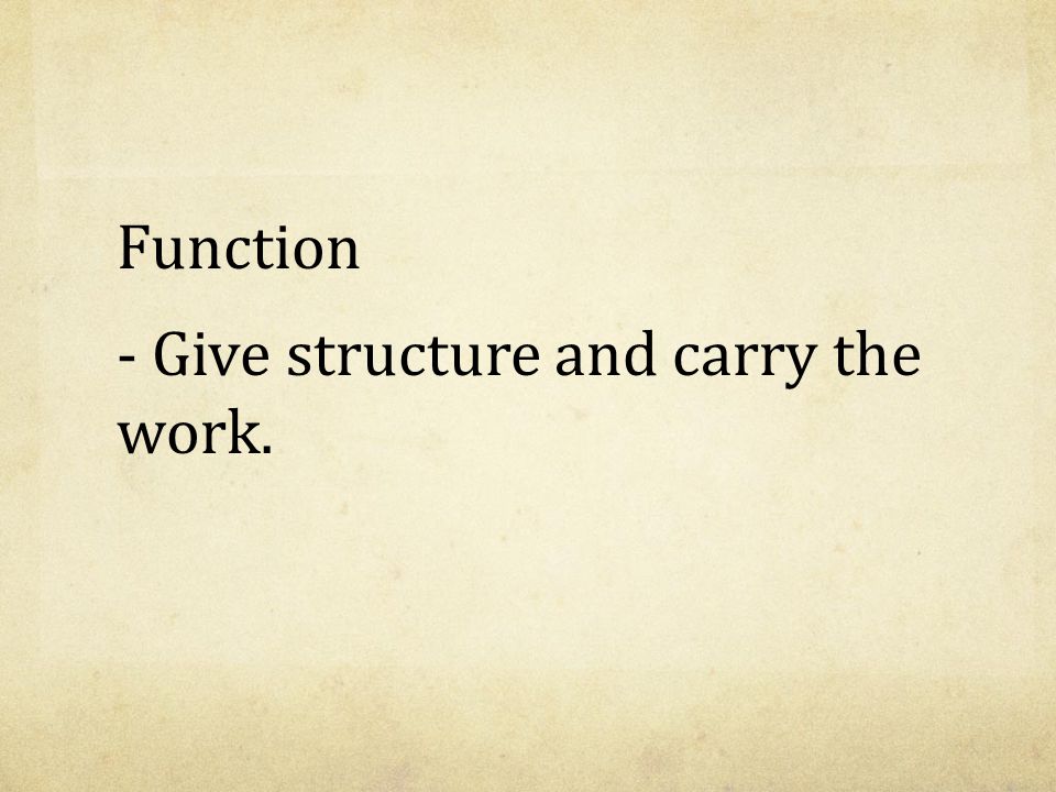 Function - Give structure and carry the work.