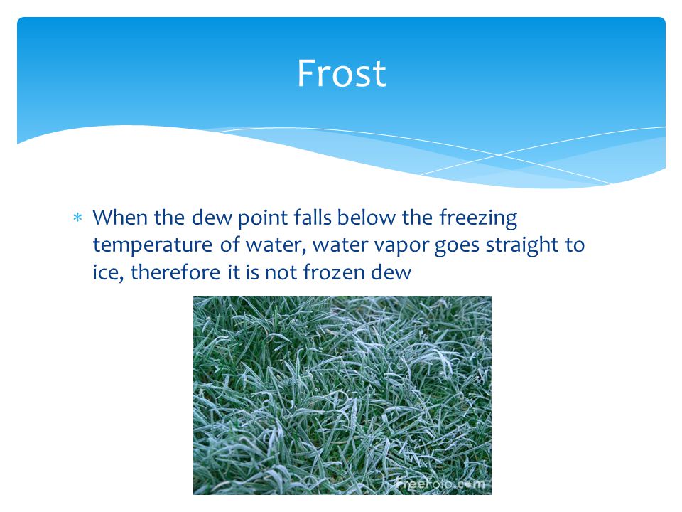  When the dew point falls below the freezing temperature of water, water vapor goes straight to ice, therefore it is not frozen dew Frost
