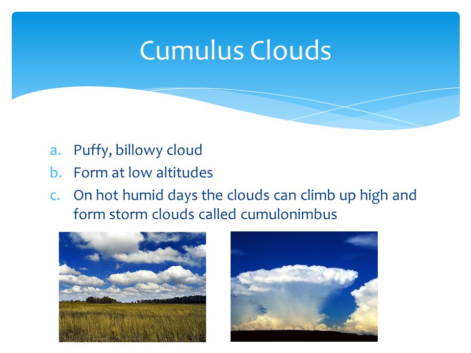 a.Puffy, billowy cloud b.Form at low altitudes c.On hot humid days the clouds can climb up high and form storm clouds called cumulonimbus Cumulus Clouds