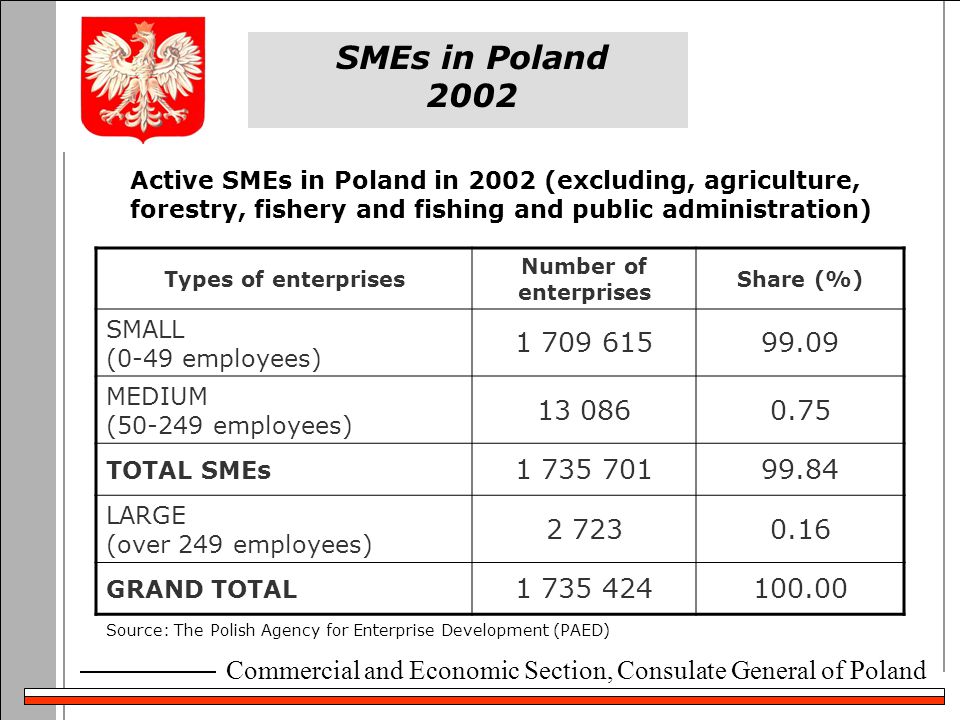 SMEs in Poland 2002 Types of enterprises Number of enterprises Share (%) SMALL (0-49 employees) MEDIUM ( employees) TOTAL SMEs LARGE (over 249 employees) GRAND TOTAL Active SMEs in Poland in 2002 (excluding, agriculture, forestry, fishery and fishing and public administration) Source: The Polish Agency for Enterprise Development (PAED)